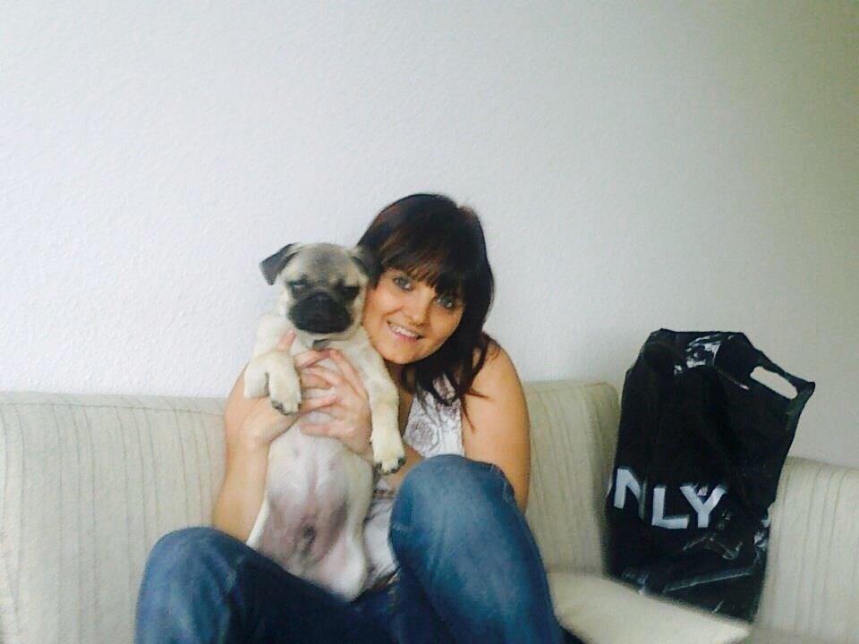 Mops Zacho billede 42