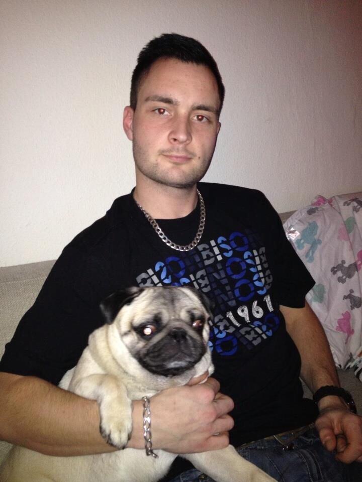 Mops Zacho billede 44