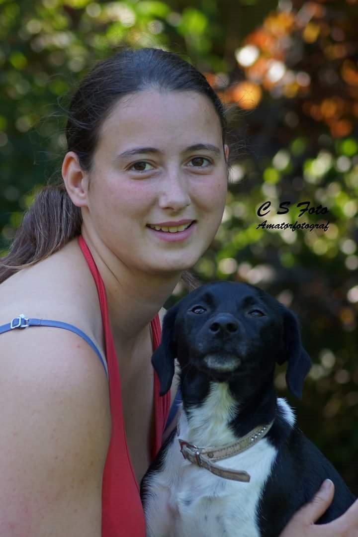 Blanding af racer plet billede 6