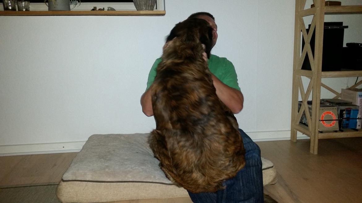 Blanding af racer Cato billede 9