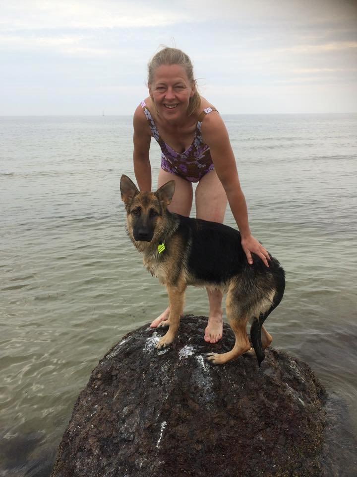 Schæferhund Beat billede 23