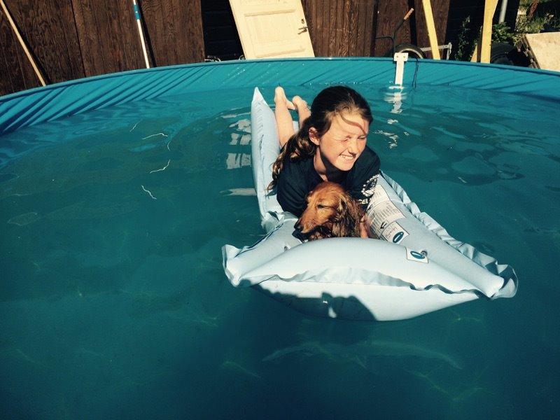 Gravhund Berta - Mig og Berta billede 9