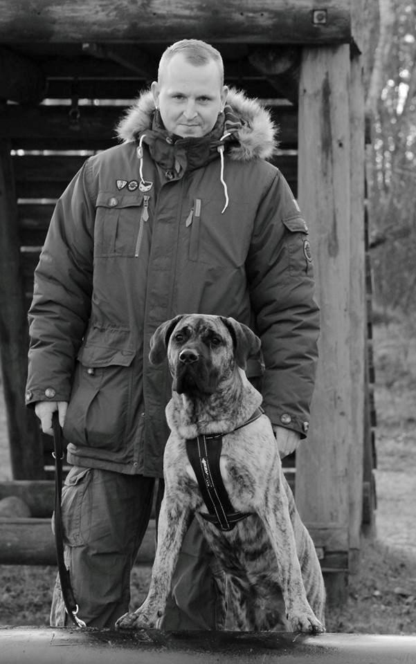 Dogo canario Fuerza bull ARIKO billede 14