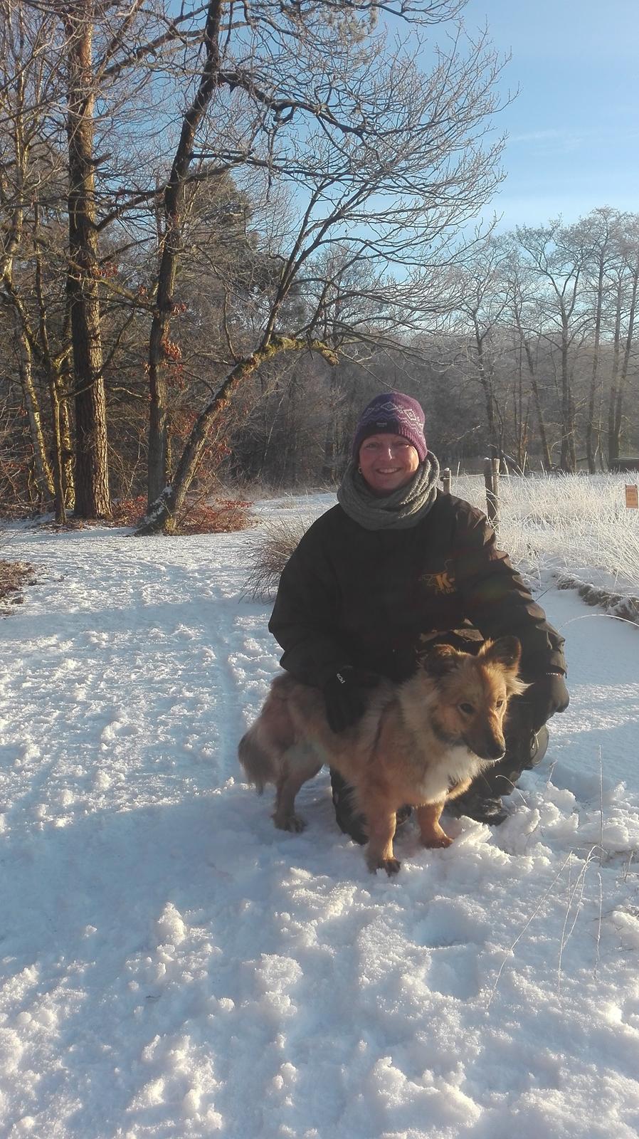 Blanding af racer Ronja fra Rumænien billede 6