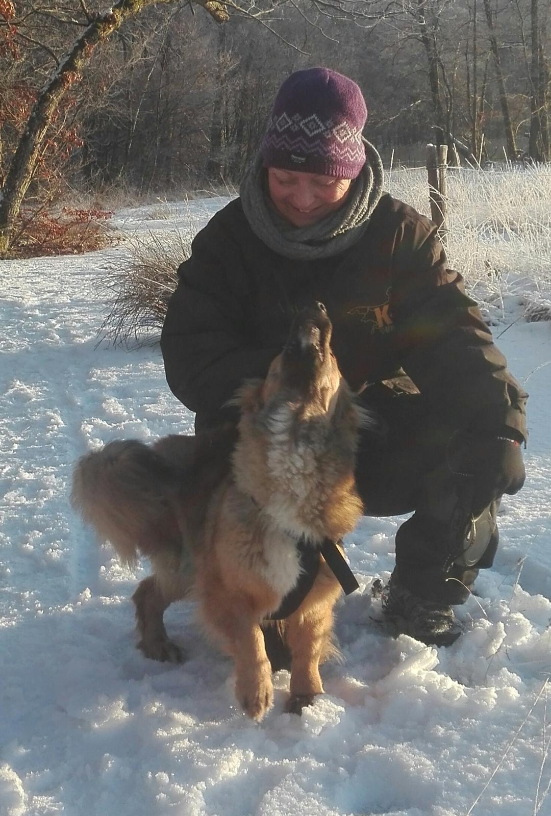 Blanding af racer Ronja fra Rumænien billede 8