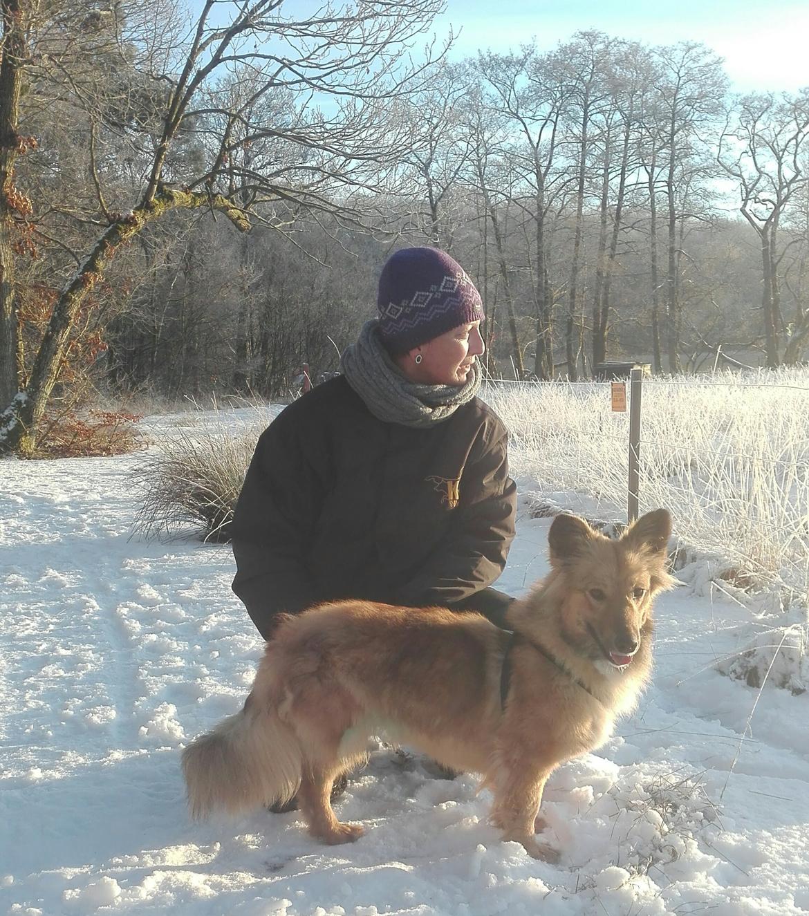 Blanding af racer Ronja fra Rumænien billede 9