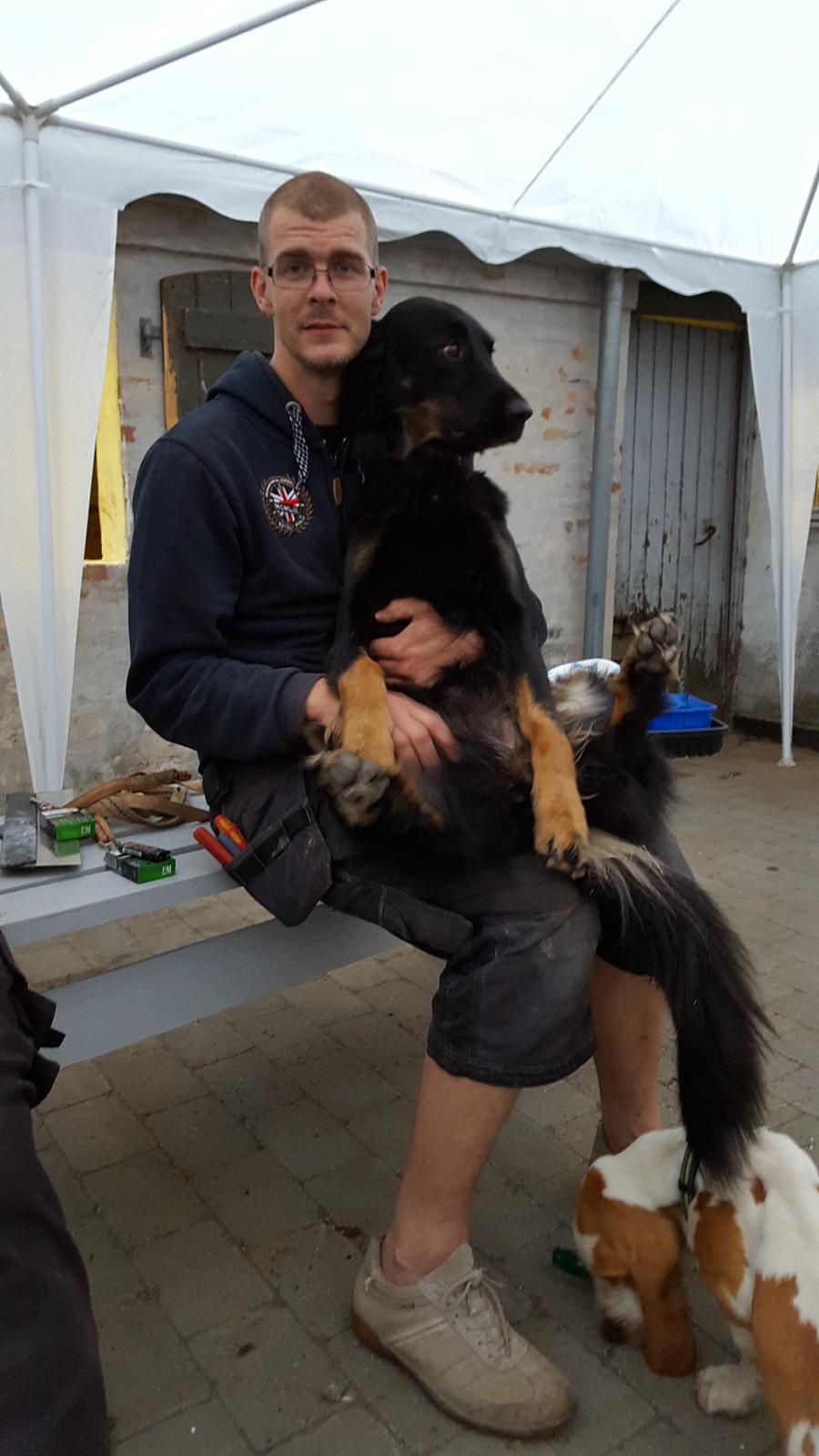 Blanding af racer Leika r.i.p. d. 19.05.18 billede 4