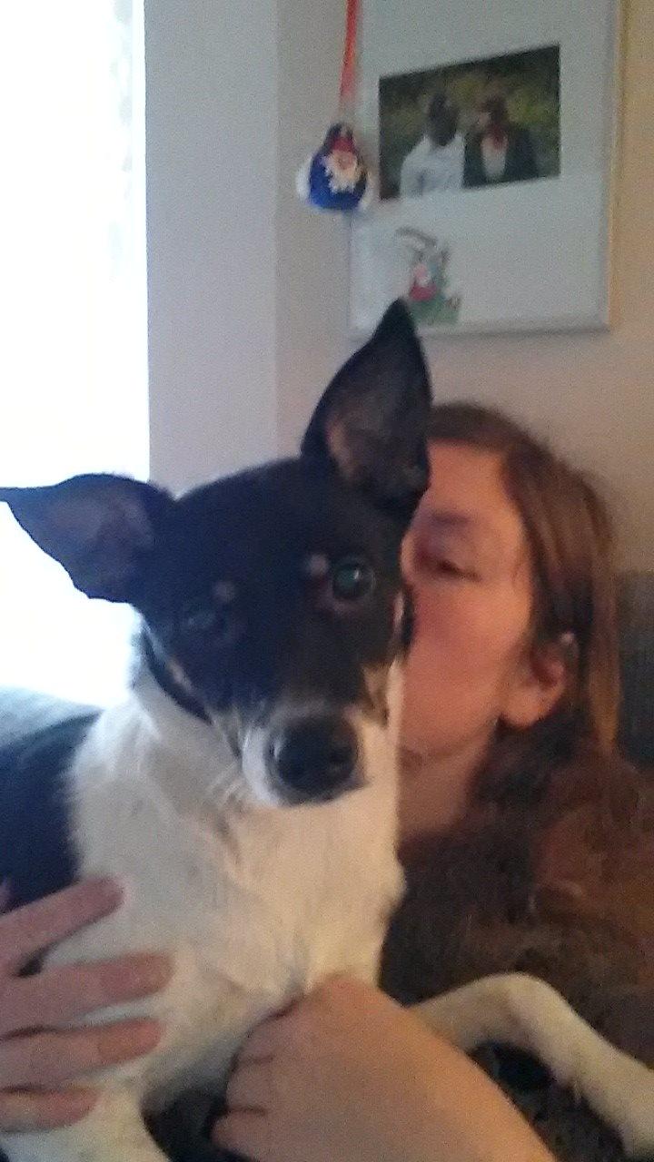 Blanding af racer Vega billede 2