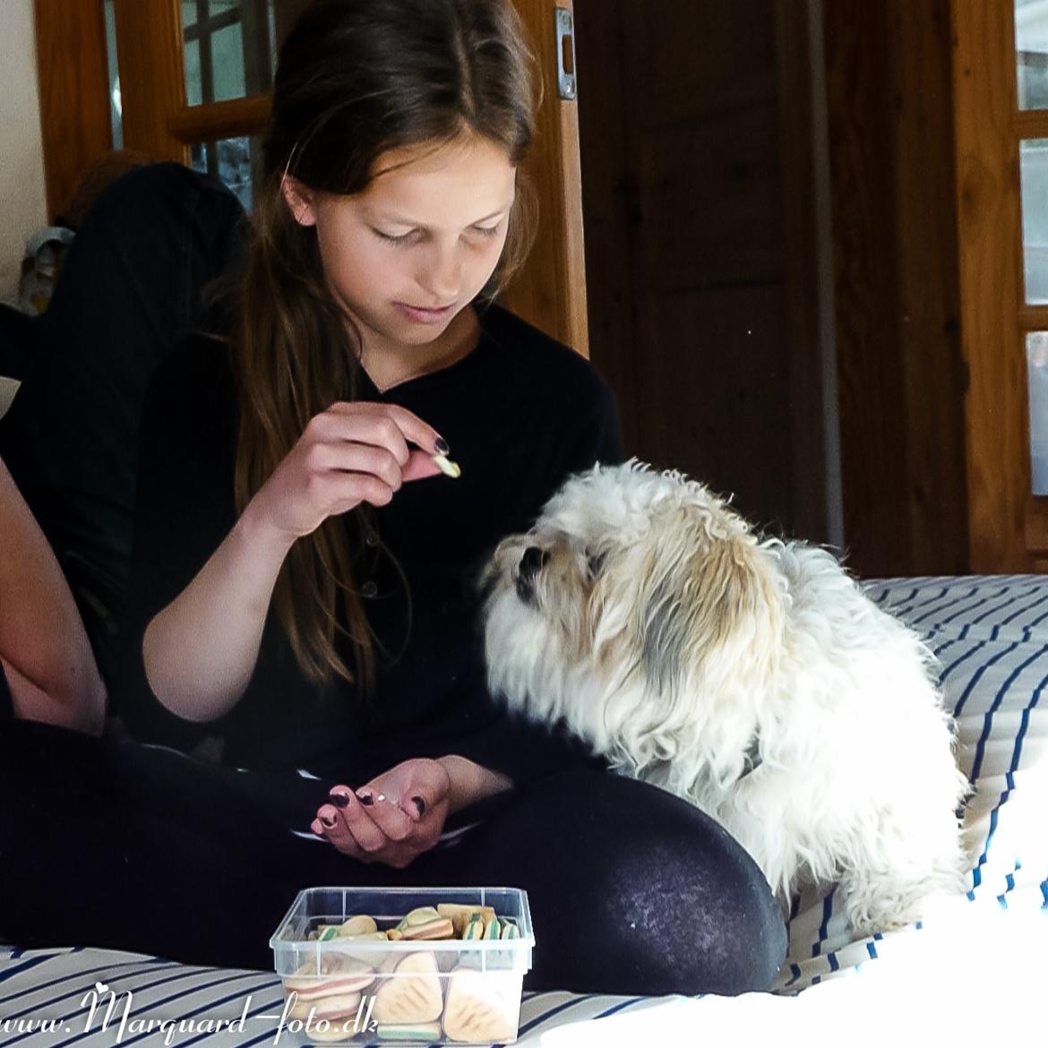 Blanding af racer Frodo billede 21