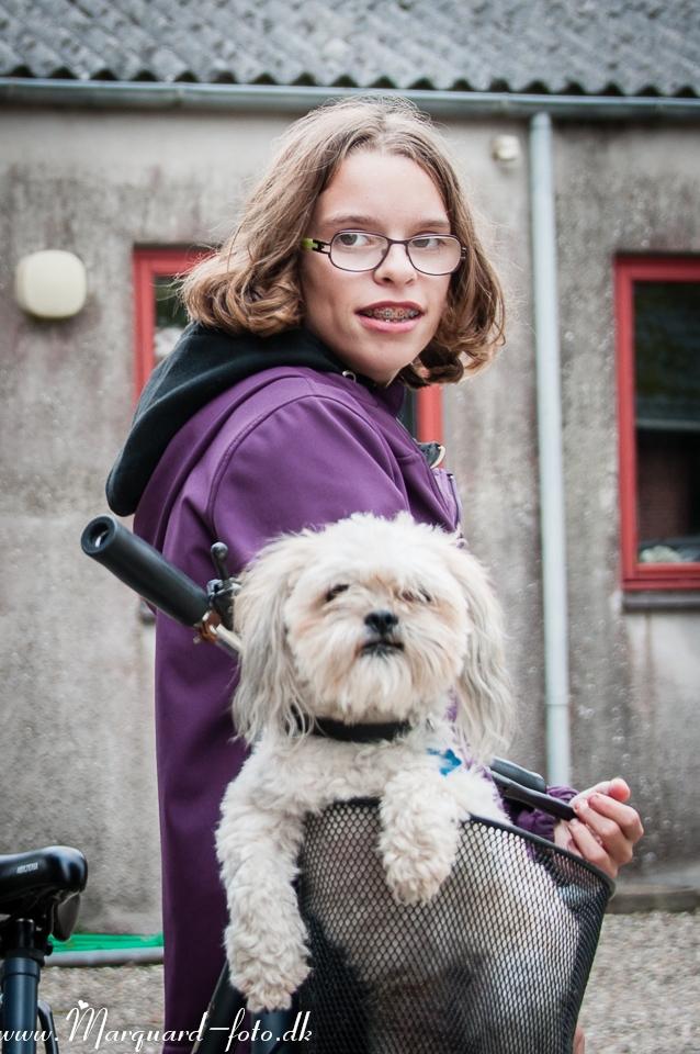 Blanding af racer Frodo billede 32