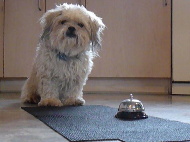 Blanding af racer Frodo billede 40