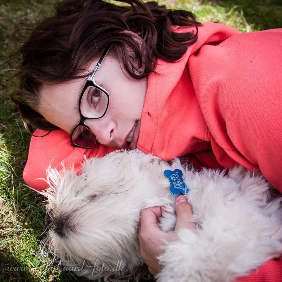 Bichon havanais Kimba (Frihedshåbs Timon) billede 32