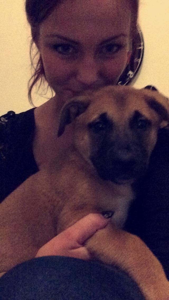 Blanding af racer Bella billede 18