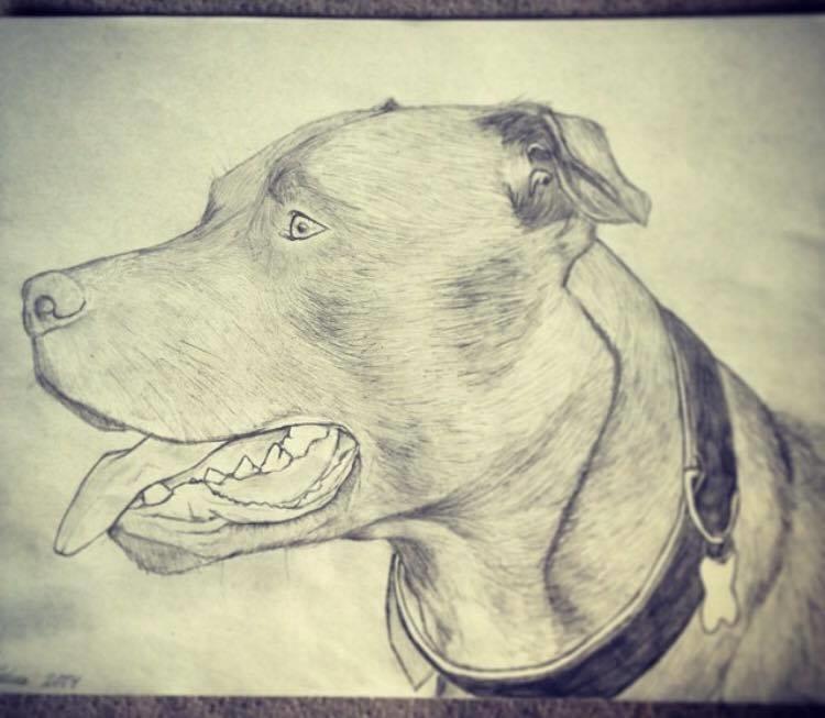 Blanding af racer Tyson billede 7