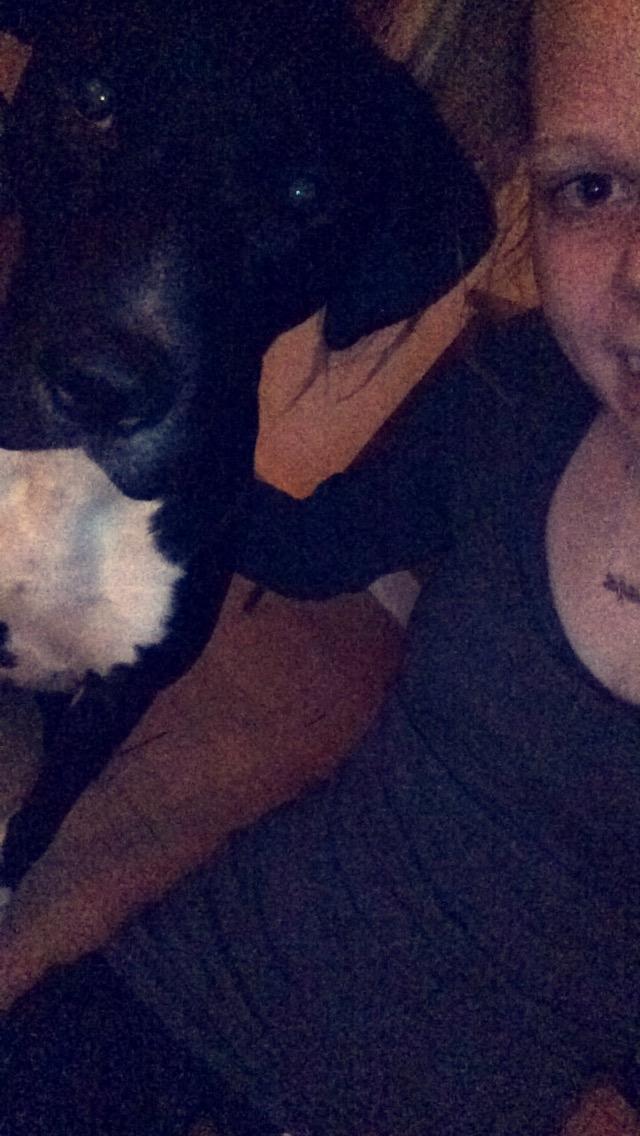 Blanding af racer Buffas billede 14