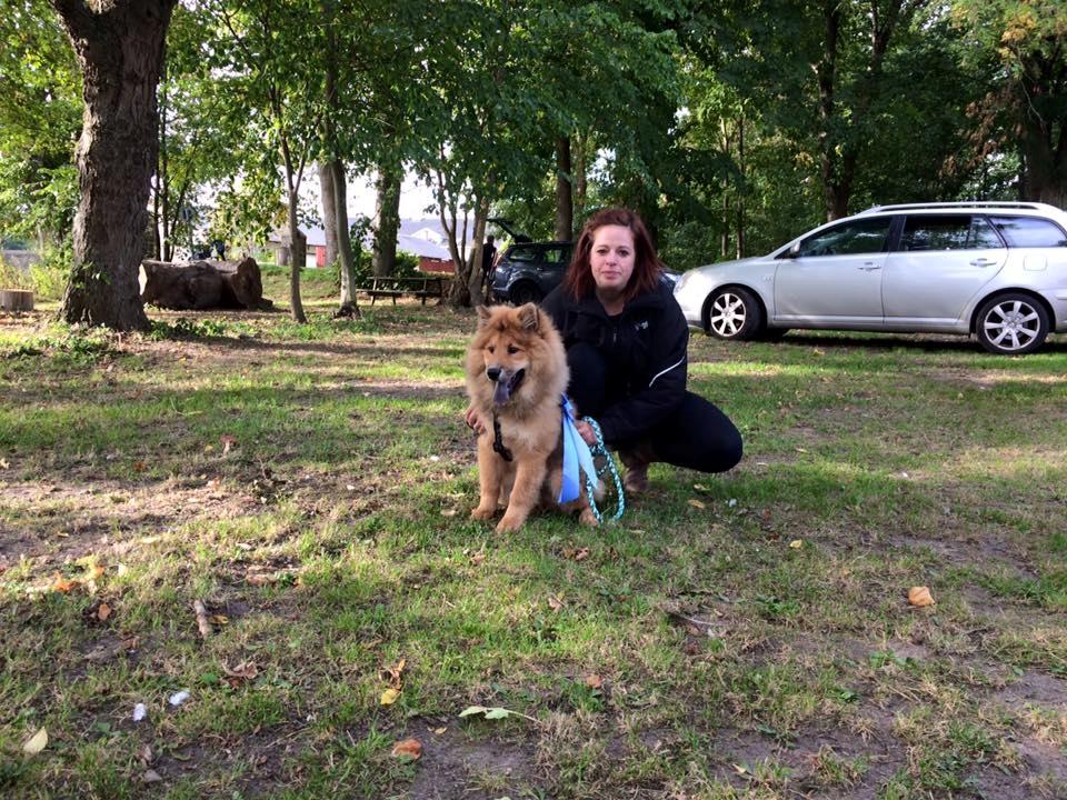 Eurasier Enzo ( Balule's Inxs) - Hans første udstilling billede 12