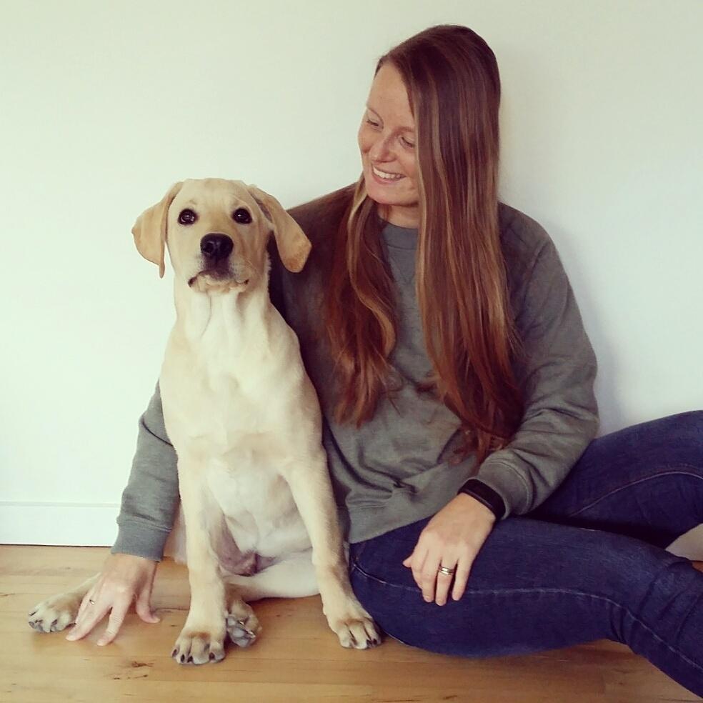 Blanding af racer Elvis *R.I.P* - 3,5mdr gammel 14/2-16 billede 28