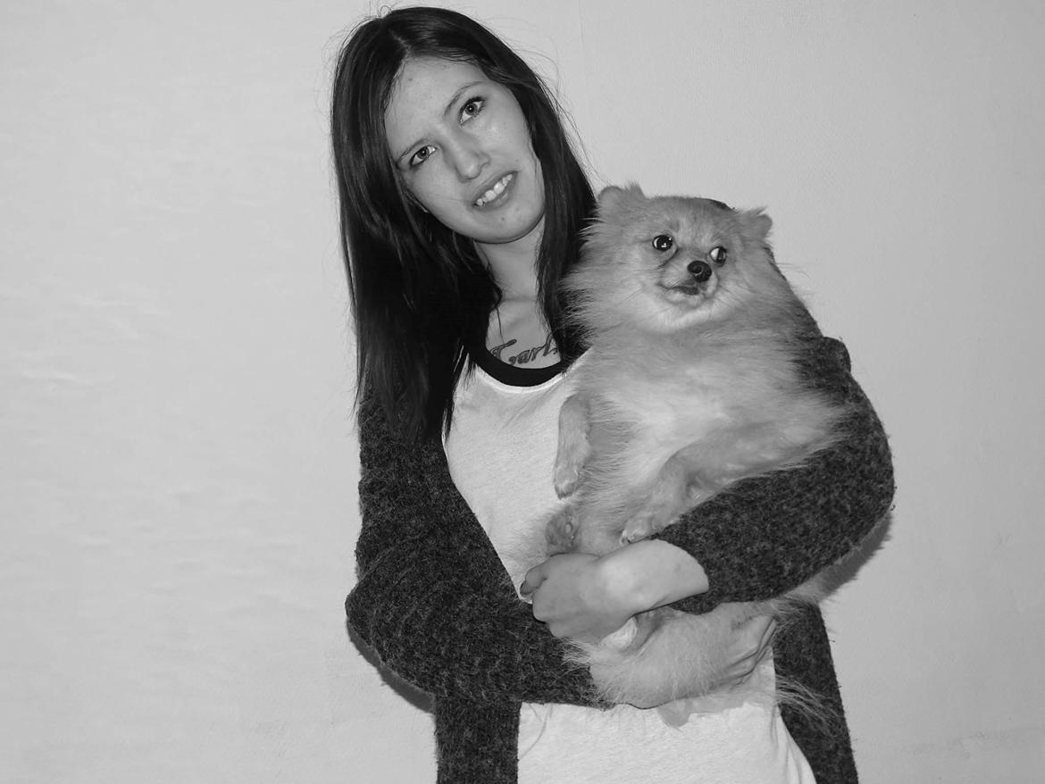 Pomeranian Jimmybrian  billede 5