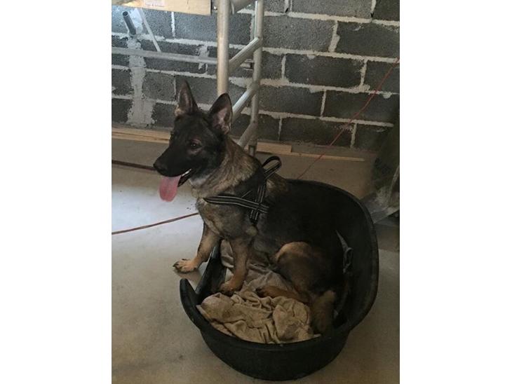 {{currentPhoto.altText}} billede {{currentPhoto.number}}