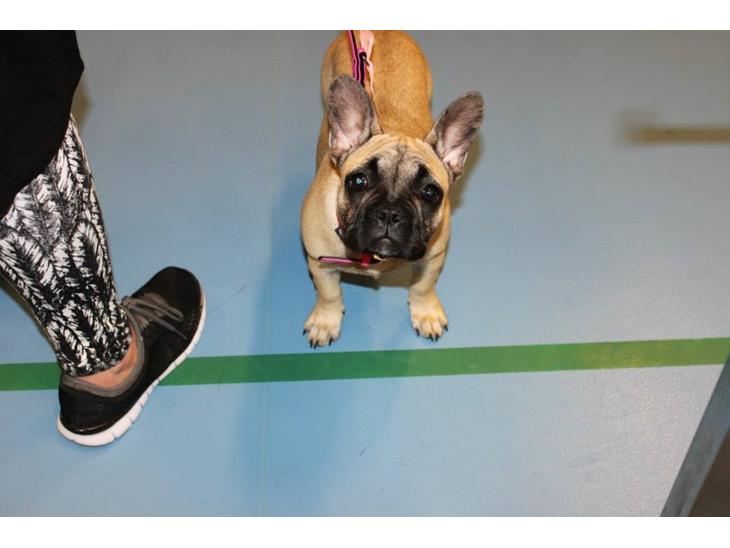 {{currentPhoto.altText}} billede {{currentPhoto.number}}