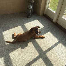 Blanding af racer Charlie