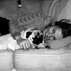 Mops Lykkedals Isabella