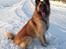 Blanding af racer Chico - 2016 - 22. januar