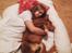 Nova scotia duck tolling retriever Take It Easy (Easy)