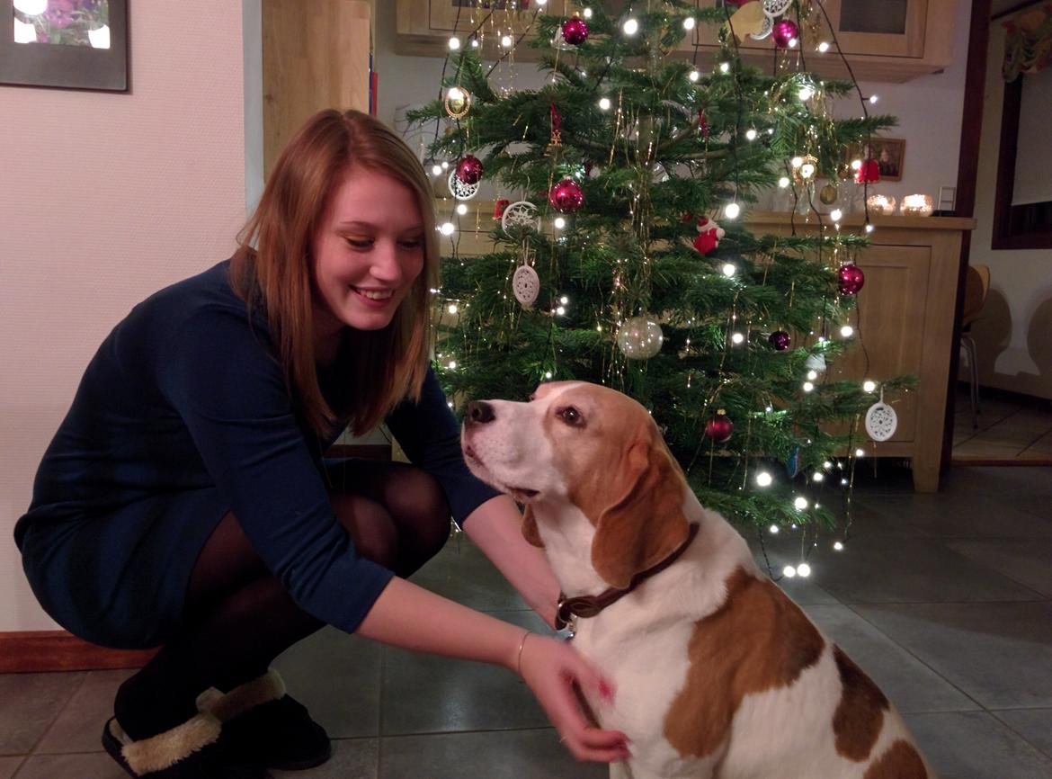 Beagle Mads / Fairytosh Mc. Cafferty billede 21