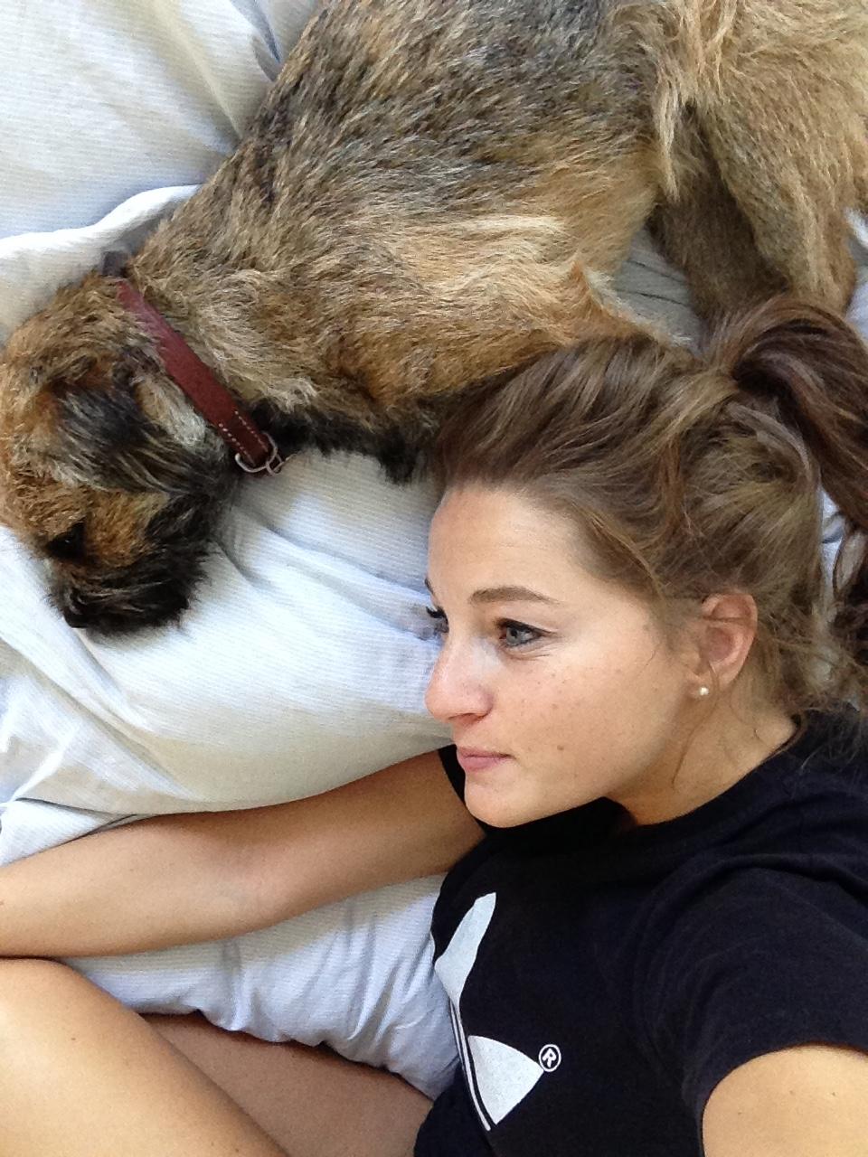 Border terrier Qaya billede 8