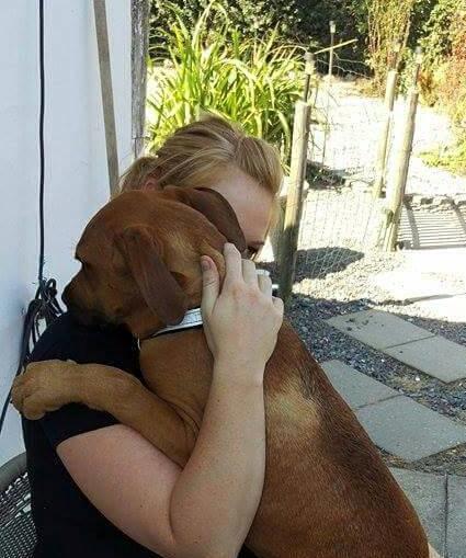 Blanding af racer Askgaards Lillelys - han er en puttetrold, og vil helst helt op og holdes om. billede 12