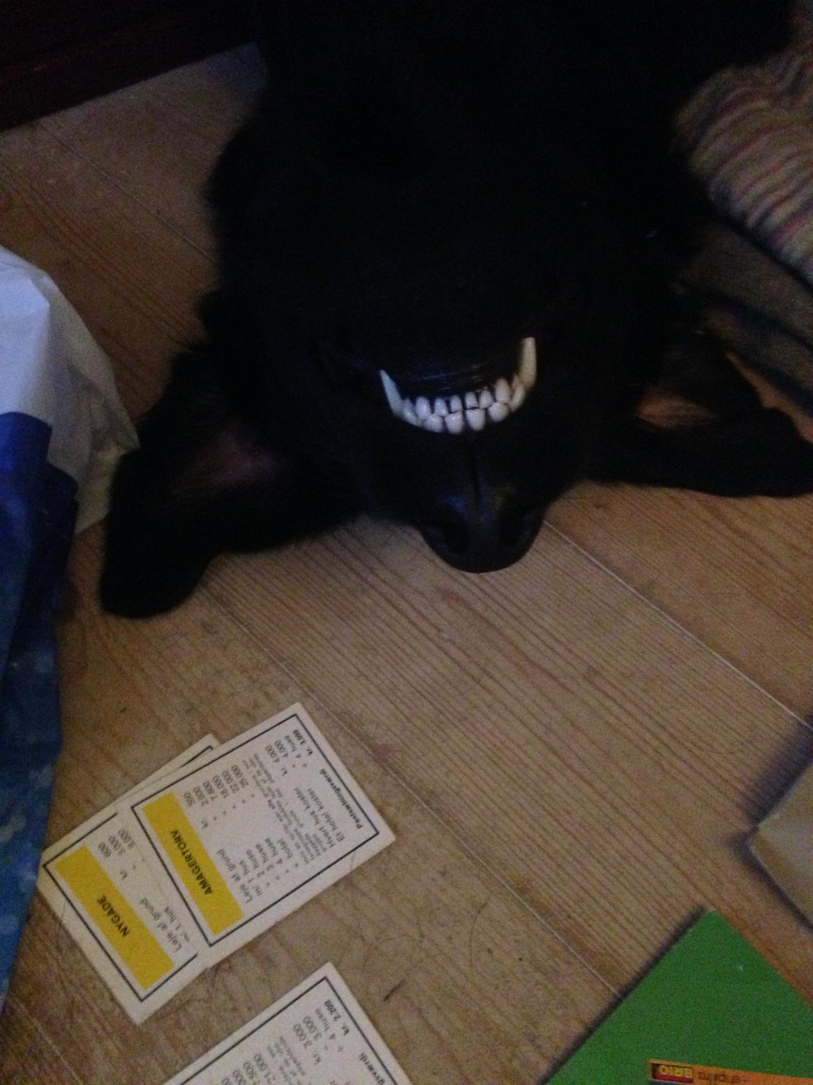 Blanding af racer Rosa billede 5