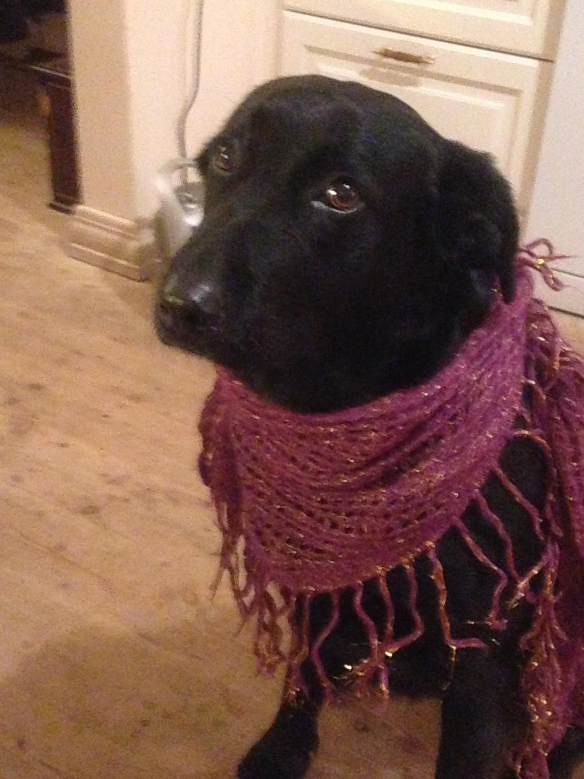 Blanding af racer Rosa billede 7