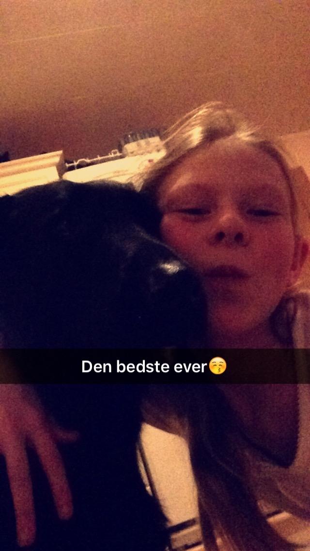 Blanding af racer Rosa billede 15