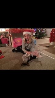 Dansk svensk gaardhund Audi billede 1