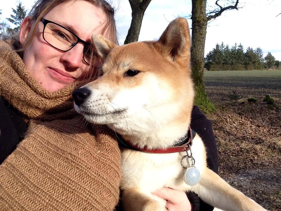 Shiba Akainus Philipa/Bonnie - Mors vuffer billede 13