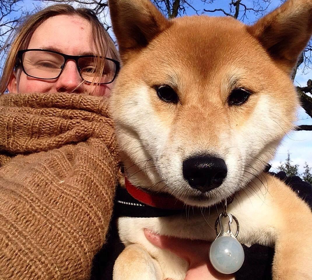 Shiba Akainus Philipa/Bonnie - "Et spejl?" billede 15