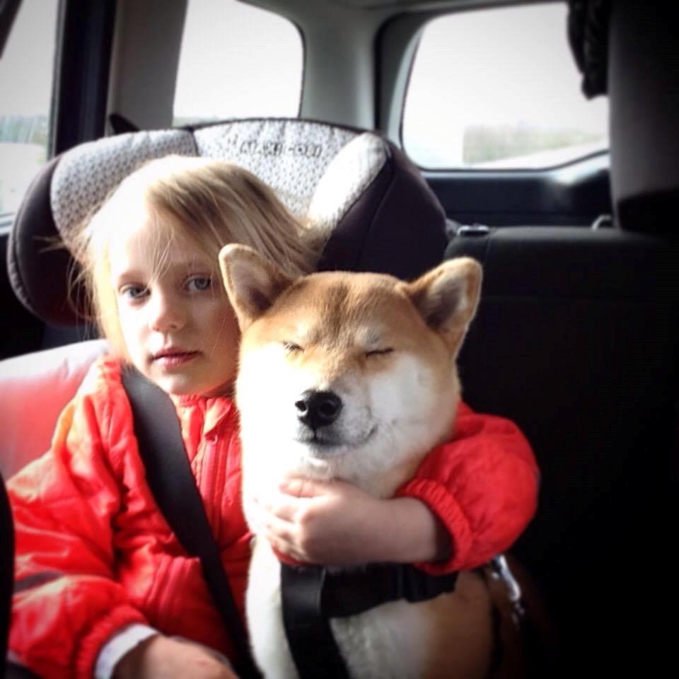 Shiba Akainus Philipa/Bonnie - Min datter og Bonnie billede 26