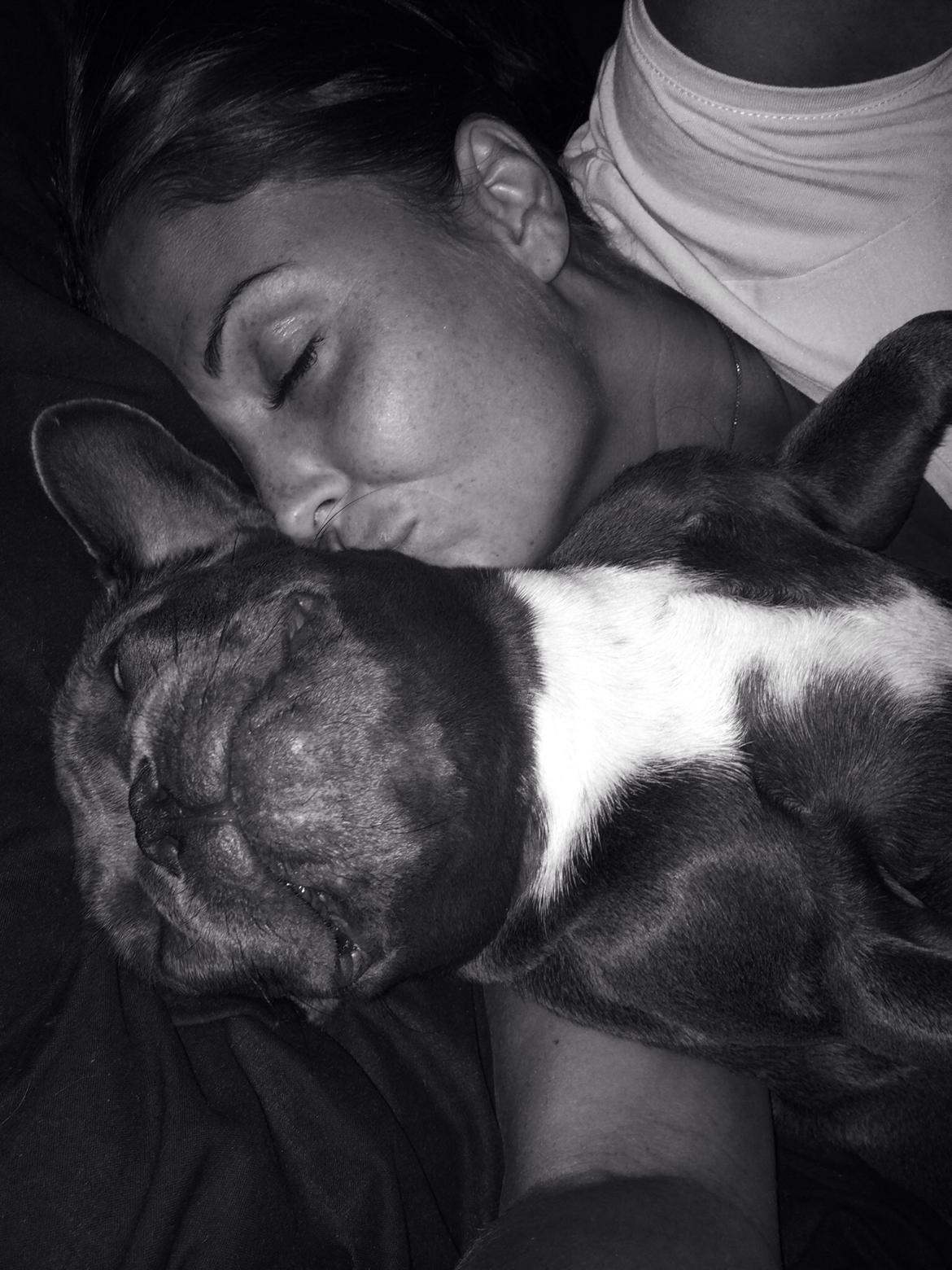 Fransk bulldog Minnie billede 7