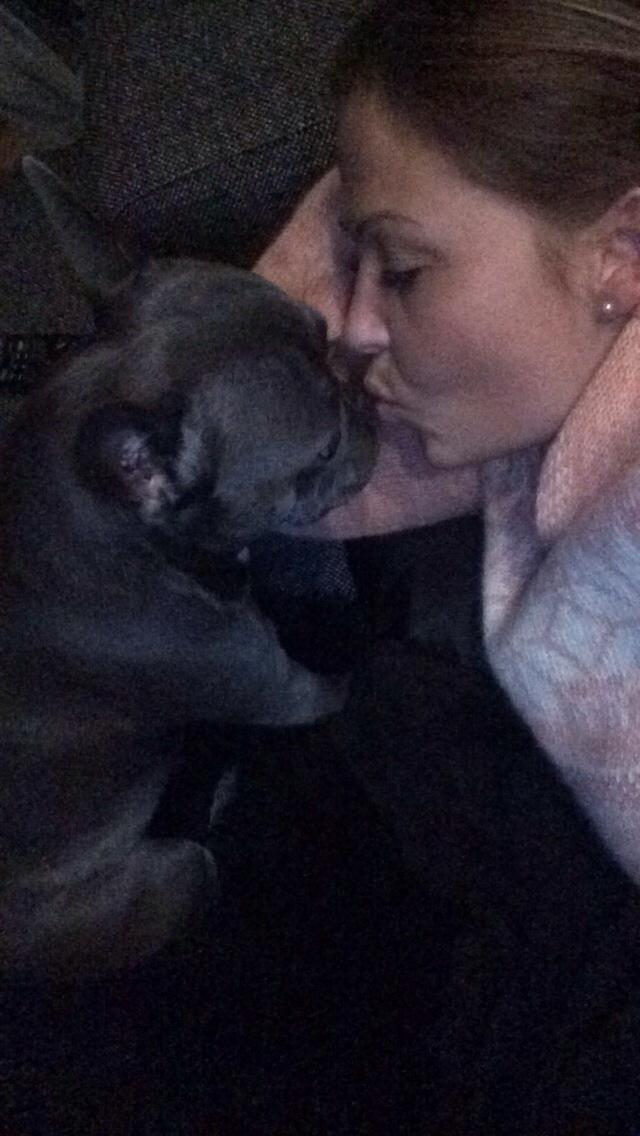 Fransk bulldog Minnie billede 10