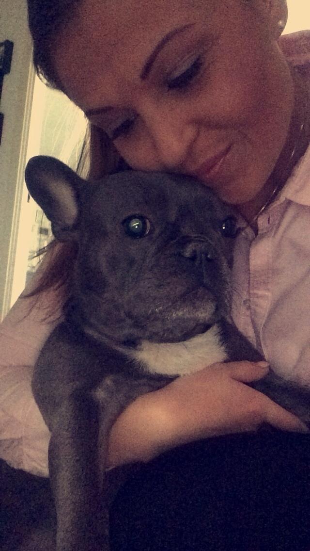 Fransk bulldog Minnie billede 11