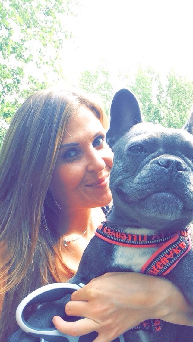 Fransk bulldog Minnie billede 9