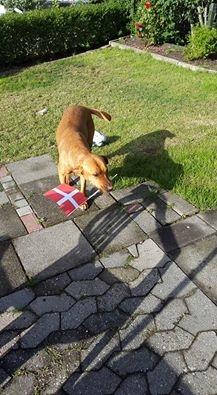 Blanding af racer Kenya billede 21