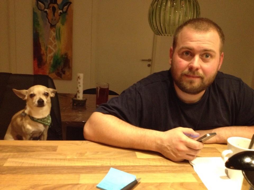 Chihuahua Buster billede 11