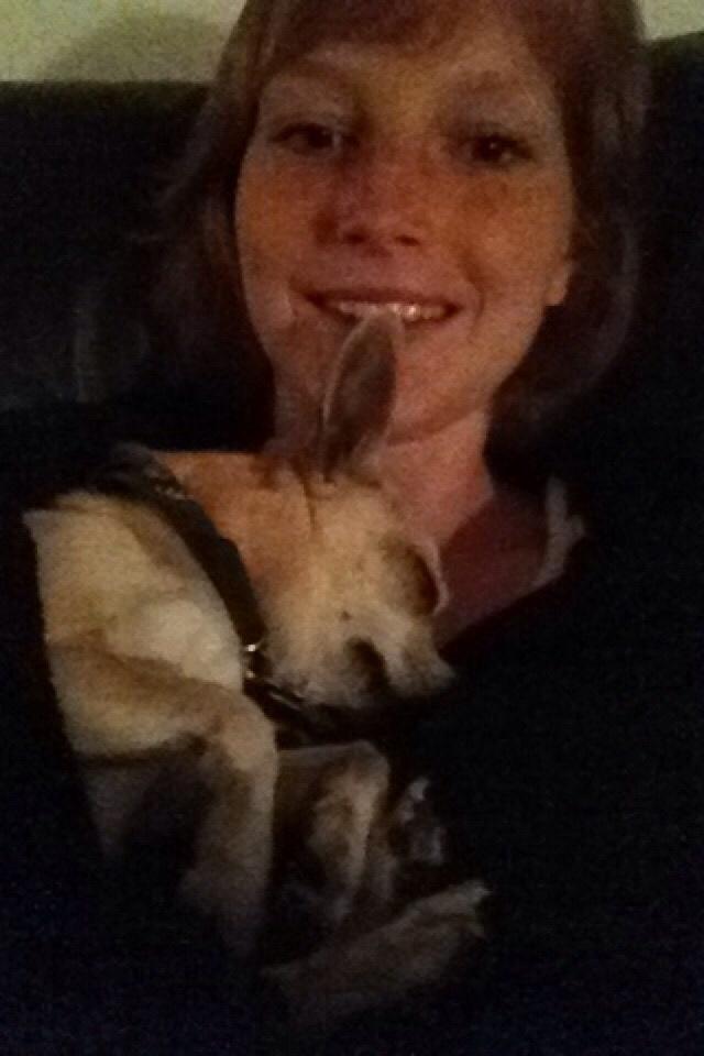 Chihuahua Buster billede 16