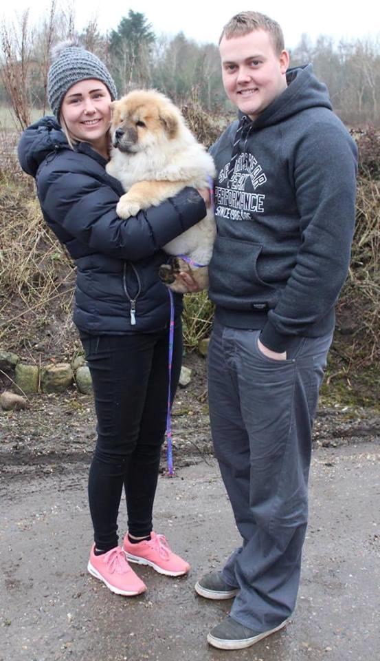 Chow chow Chuck billede 2