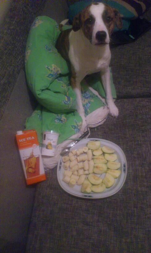 Blanding af racer Iron billede 11