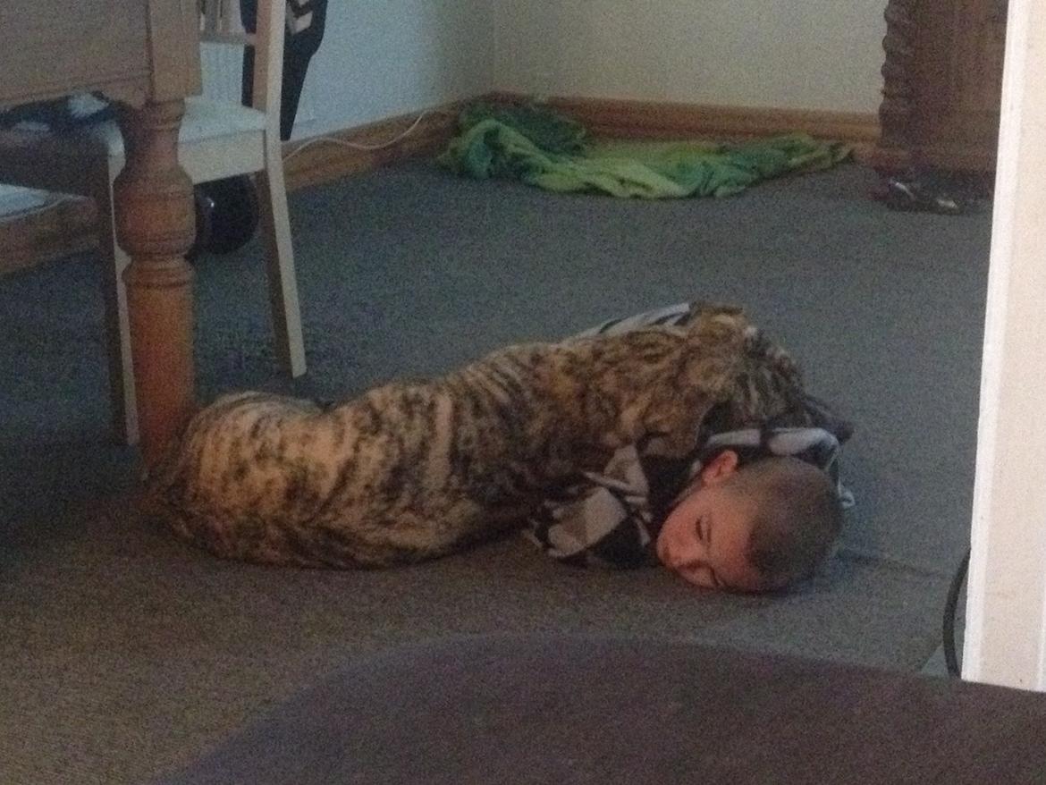 Blanding af racer Misha billede 6