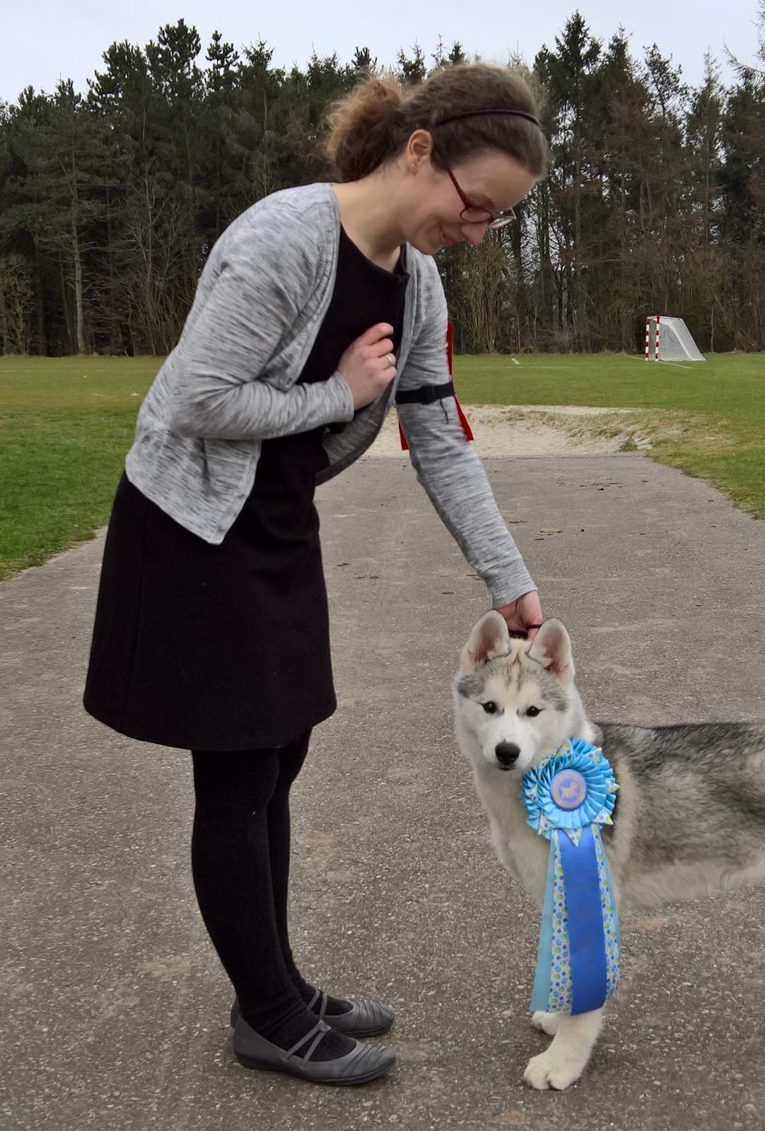 Siberian husky Girl's Talk Star'n Nordica (Penny) billede 4