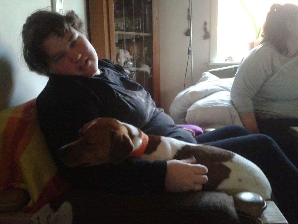 Glathåret foxterrier Jack - fra 2015 billede 18